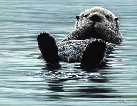 Kicking Back, Sea Otter — Edward Spera