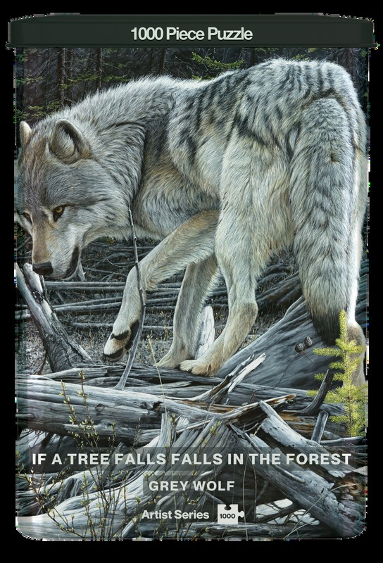 Front of a collector tin showing full-bleed artwork